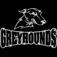 GLT32 SILVER GLITTER Thumbnail