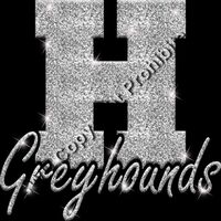 GLT61 SILVER GLITTER Thumbnail